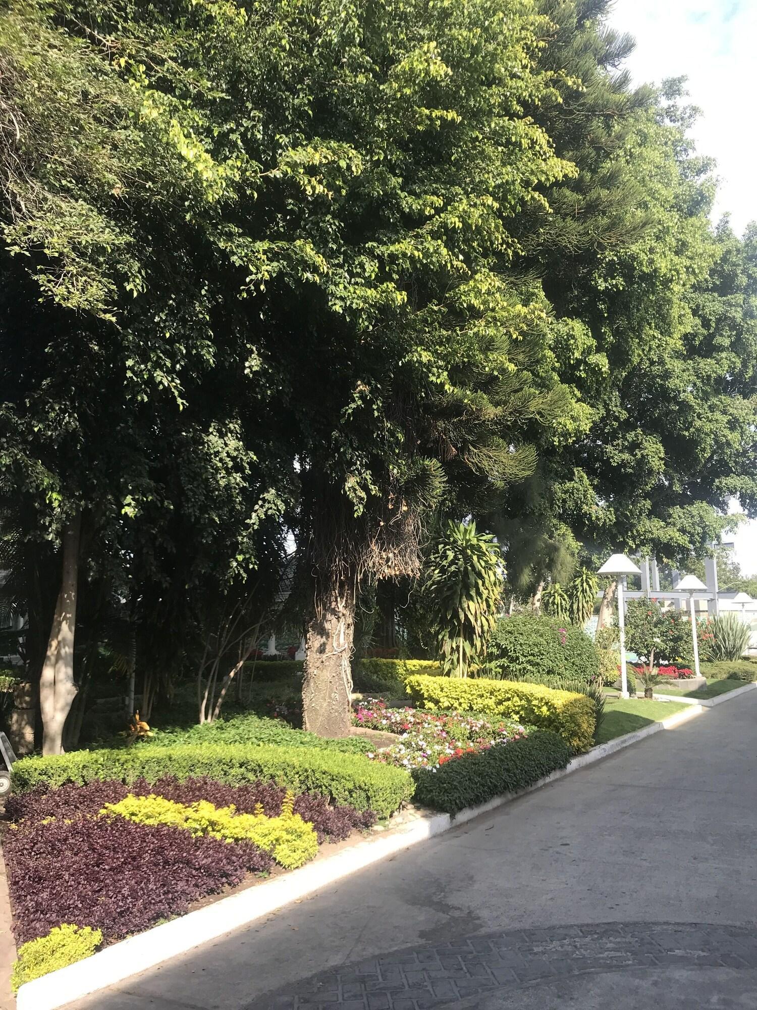 Hotel Ronda Minerva Guadalajara Luaran gambar